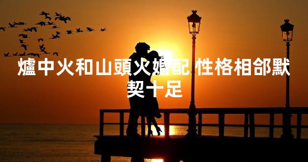 爐中火和山頭火婚配 性格相郃默契十足